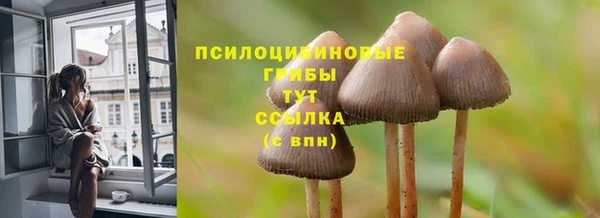 каннабис Карпинск
