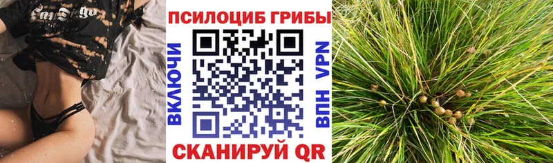 Галлюциногенные грибы прущие грибы  Купить  Белорецк 